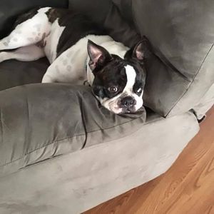 Meet your Posher, Sally